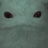 smolshy